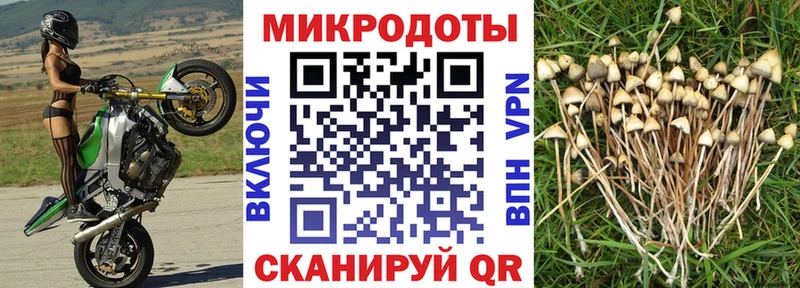 Галлюциногенные грибы Cubensis  где найти наркотики  Козьмодемьянск 